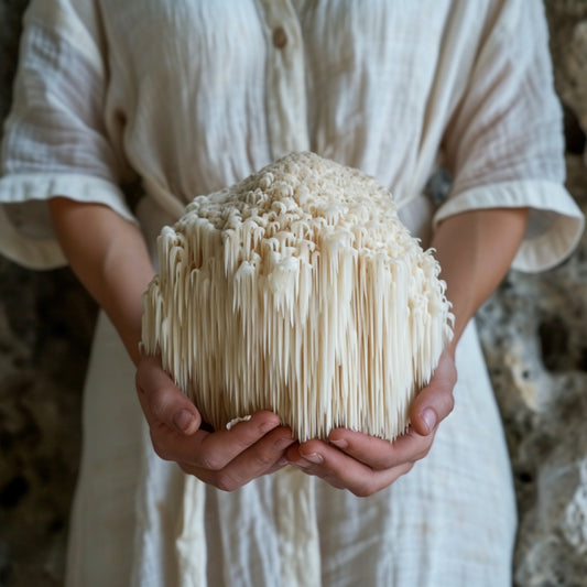 Discovering the weight loss potential of Lion's Mane mushroom