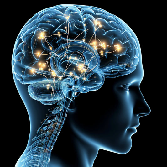 Unlock the power of your mind: strategies for enhancing memory